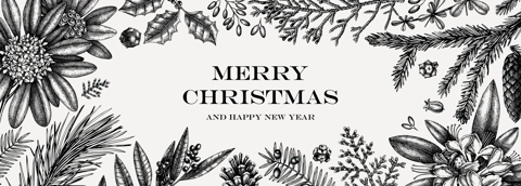 Christmas banner design. Vector frame with hand sketched winter flowers, evergreen plants and conifers. Vintage background with botanical elements. Engraved style vintage winter illustration.